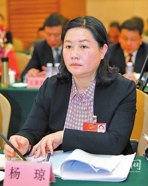【代表建议】杨琼:加快建设富宁港实现通江达海梦