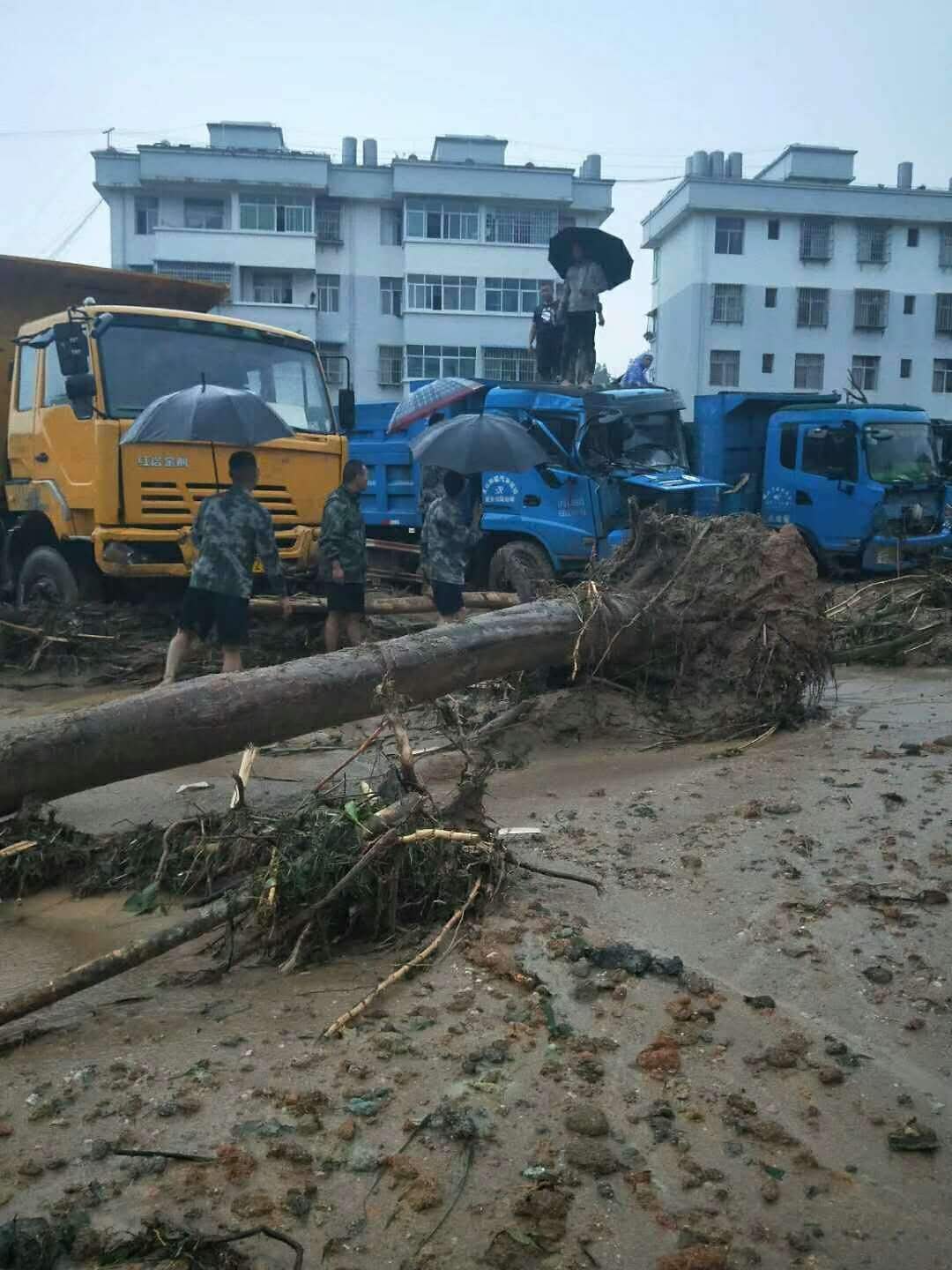 麻栗坡县gdp_麻栗坡县旅游攻略 麻栗坡县自助游攻略 麻栗坡县出游行程游记 途牛攻略(3)