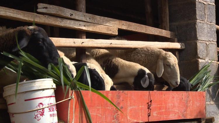 2020年文山市上半年G_文山市图片