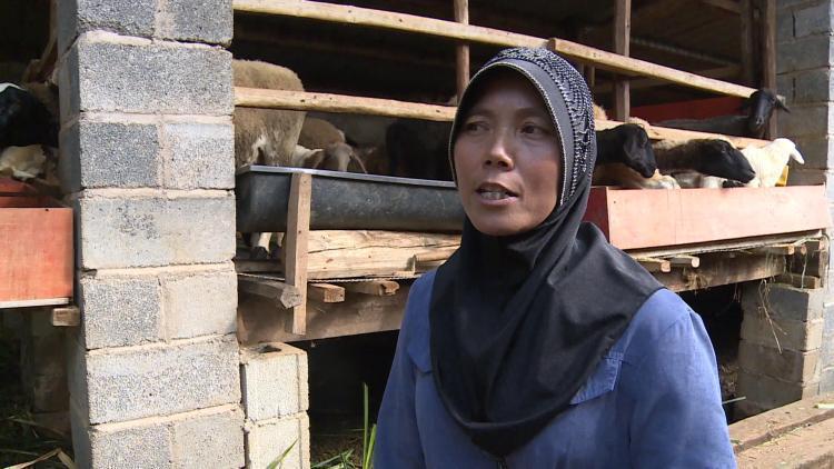 2020年文山市上半年G_文山市图片