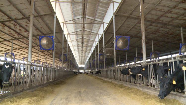 文山州2020年上半年G_文山州地图