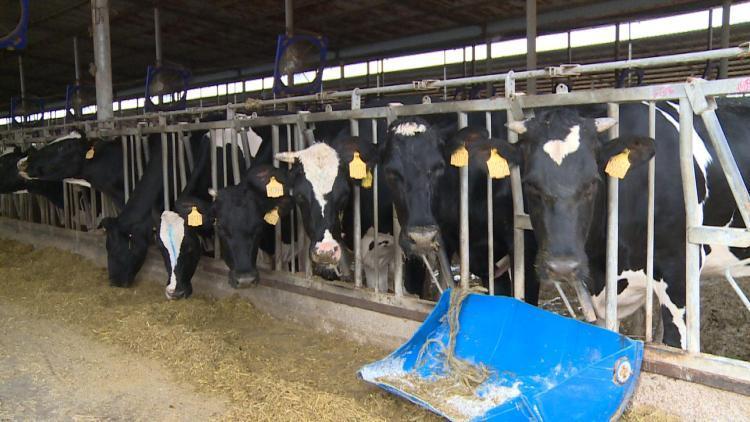 文山州2020年上半年G_文山州地图