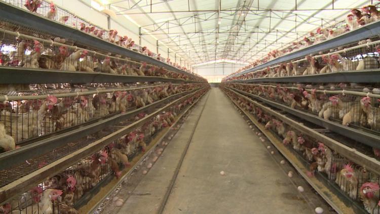 文山州2020年上半年G_文山州地图