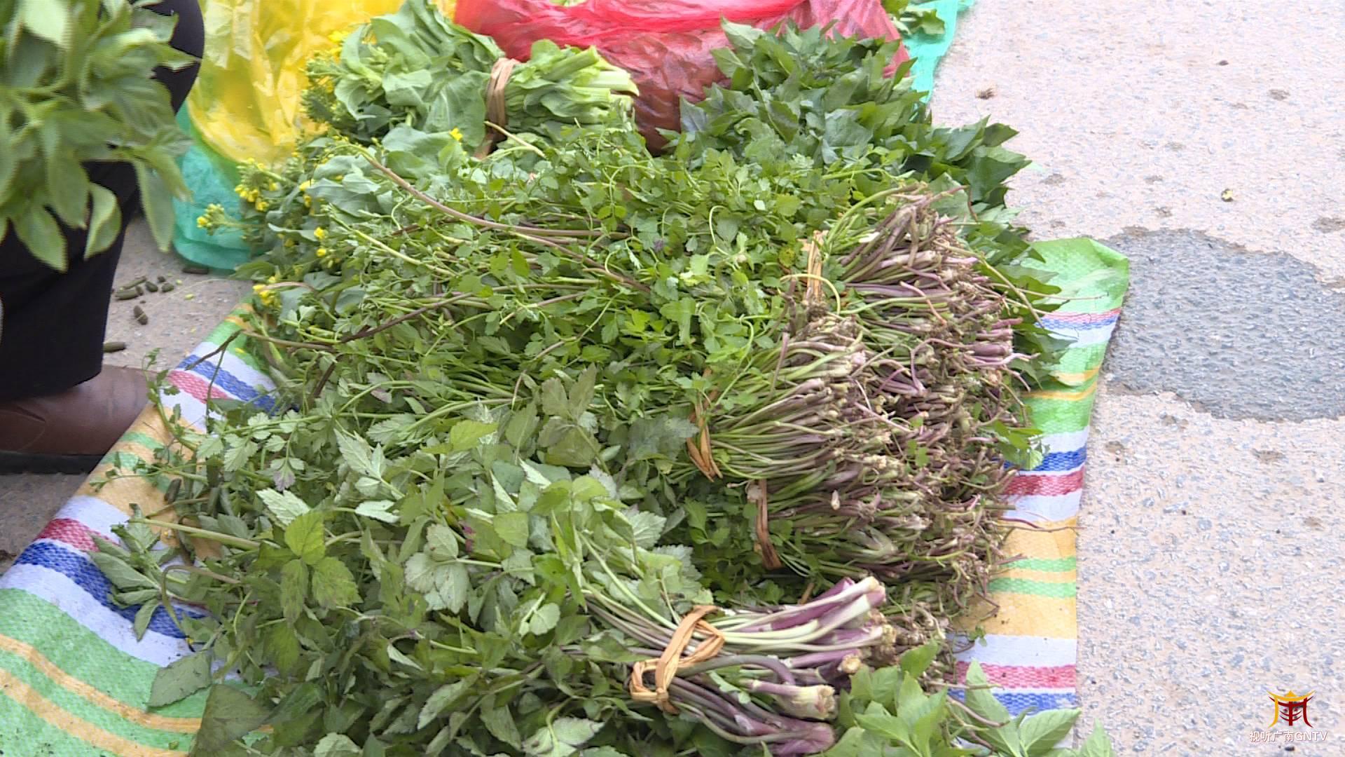 山上的野菜蕨菜 00303399901_6c438523.jpg