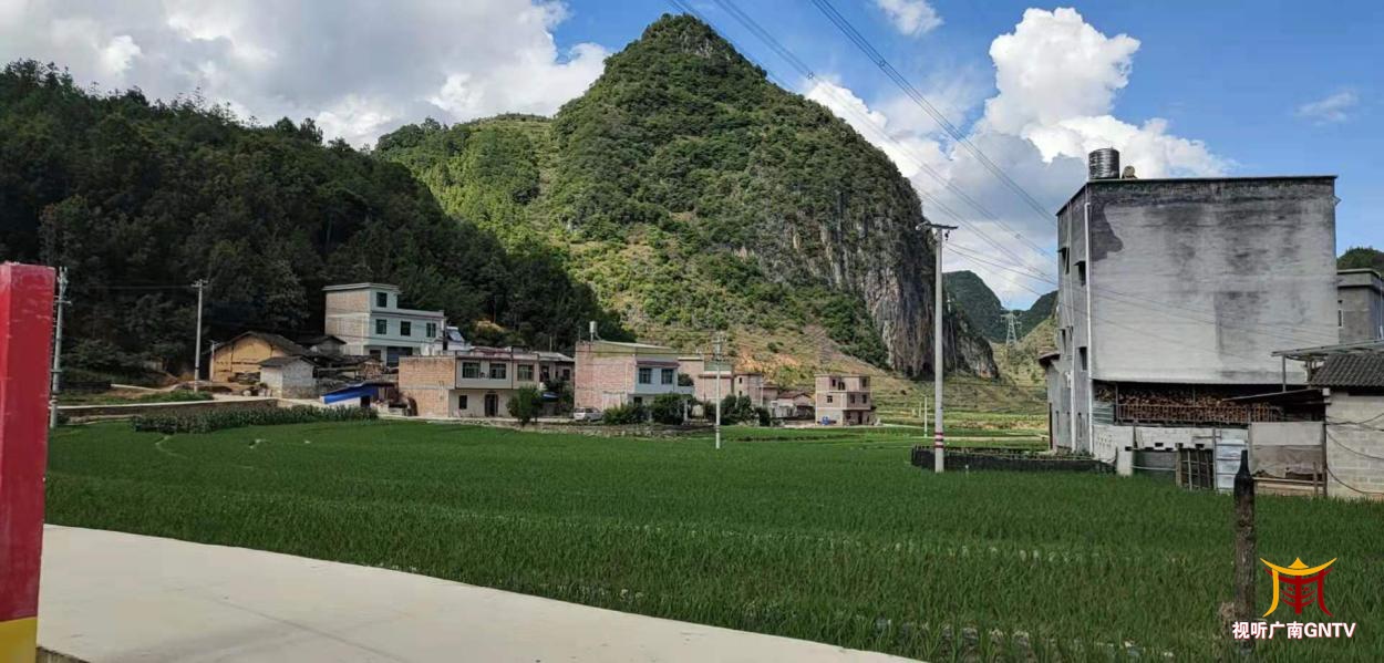 广南县南屏镇老街村委会开展我为群众办实事实践活动