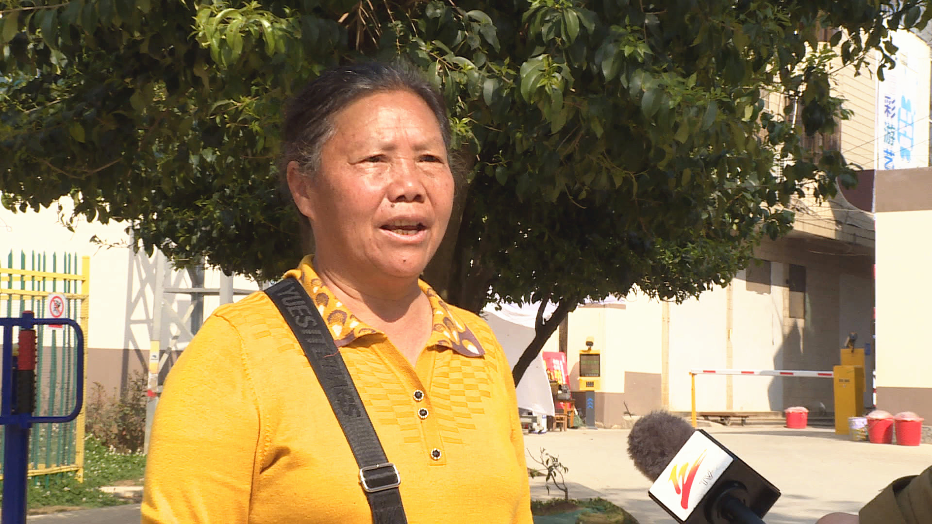 老政府小区住户 张素云：我们小区原来是臭水沟，一出门样样都是臭的