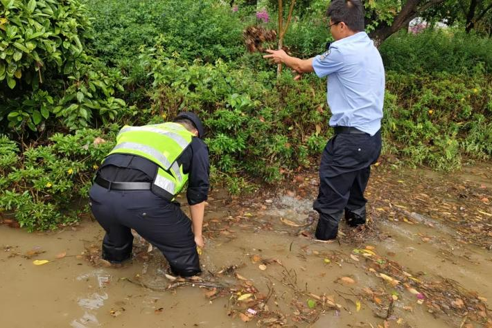马关县公安局交管大队民警清理杂物,疏通排水管道,确保车道正常通行。(1).png