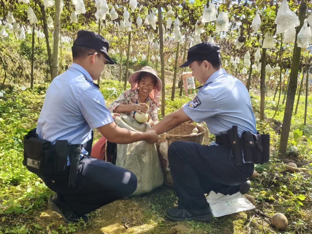 微信图片_20260914103435_191_21.jpg