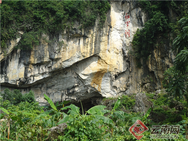 云南富宁发挥五优势打好四张牌扎实推动红色文化旅游产业发展