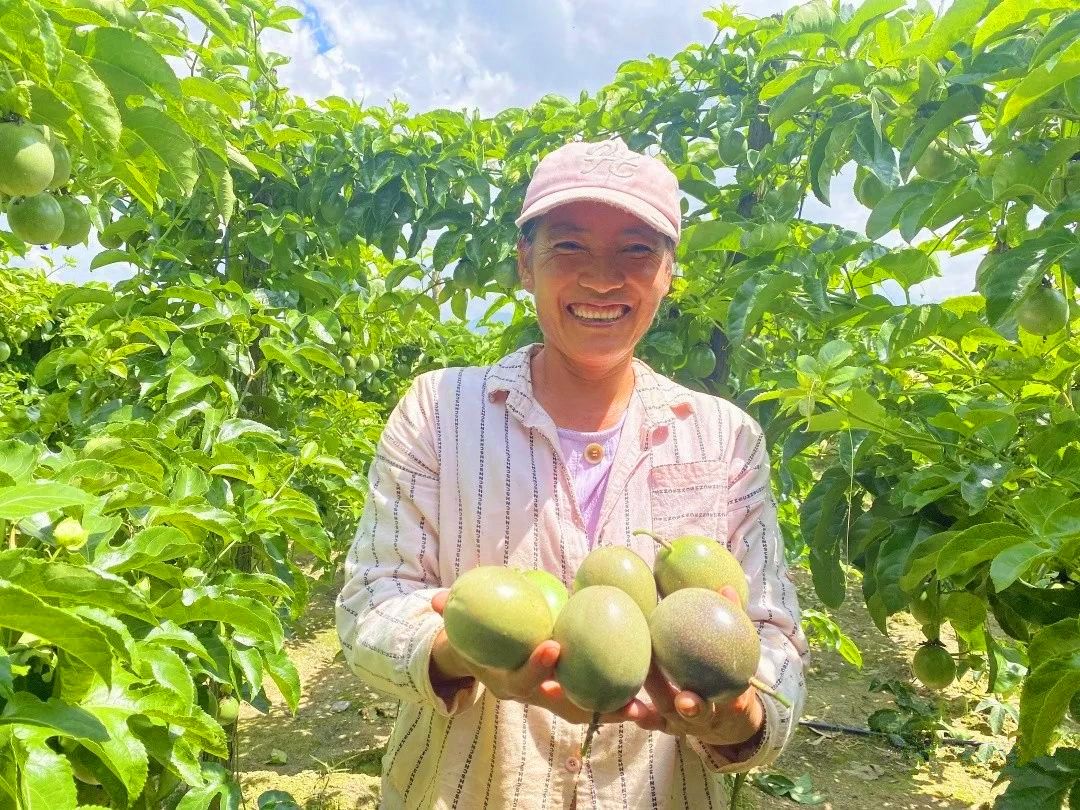 没有什么表情比得上这样的笑脸为了这一次丰收他们付出了太多太多苦尽